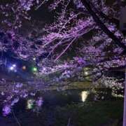 ヒメ日記 2025/04/01 13:39 投稿 西平 かな 人妻セレブ宮殿