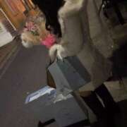 あんな お久しぶりデス❤︎ ぽちゃカワイイ！