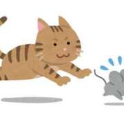 ヒメ日記 2024/12/17 12:20 投稿 はるか 電車ごっこ