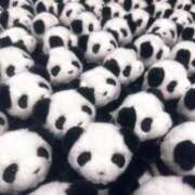 ヒメ日記 2025/04/24 10:20 投稿 はるか 電車ごっこ