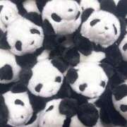 ヒメ日記 2025/05/06 10:22 投稿 はるか 電車ごっこ