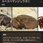 ヒメ日記 2025/05/22 19:20 投稿 はるか 電車ごっこ