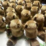 ヒメ日記 2025/06/01 19:40 投稿 はるか 電車ごっこ