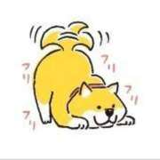 ヒメ日記 2025/06/24 11:51 投稿 はるか 電車ごっこ