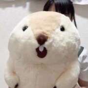 ヒメ日記 2025/09/04 12:50 投稿 はるか 電車ごっこ