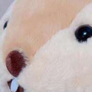 ヒメ日記 2025/10/15 17:50 投稿 はるか 電車ごっこ