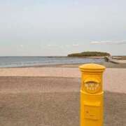 ヒメ日記 2025/02/12 06:19 投稿 ♡ゆめ♡ Newビビアン＆ガールズコレクション