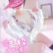 ヒメ日記 2026/03/11 17:00 投稿 ♡ゆめ♡ Newビビアン＆ガールズコレクション