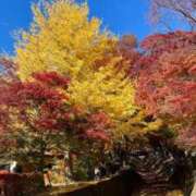 ヒメ日記 2025/09/21 19:17 投稿 重盛 みゆな 絢(あや)