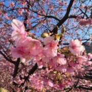 ヒメ日記 2026/03/11 21:38 投稿 重盛 みゆな 絢(あや)