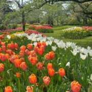 重盛 みゆな ありがとうございました☺️ 絢(あや)