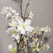 重盛 みゆな 🌸🌱 絢(あや)