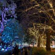 ヒメ日記 2025/12/24 10:21 投稿 真季(まき) 人妻城 横浜本店