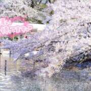 ヒメ日記 2026/03/10 11:10 投稿 真季(まき) 人妻城 横浜本店