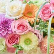 ヒメ日記 2025/05/24 10:04 投稿 りな ミセスコレクション倉敷店