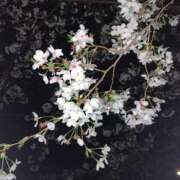 ヒメ日記 2025/04/15 20:46 投稿 スズ マテリアル