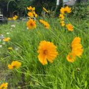 ヒメ日記 2025/06/16 22:16 投稿 スズ マテリアル