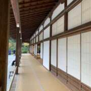 ヒメ日記 2025/07/10 21:01 投稿 スズ マテリアル