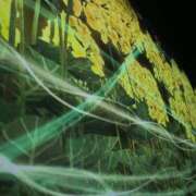 ヒメ日記 2025/07/15 14:31 投稿 スズ マテリアル