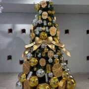 ヒメ日記 2025/12/24 23:16 投稿 スズ マテリアル