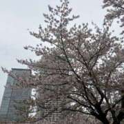 ヒメ日記 2026/04/15 18:46 投稿 スズ マテリアル