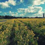 ヒメ日記 2025/02/05 19:32 投稿 けいと 西船人妻花壇