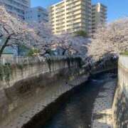 ヒメ日記 2025/04/13 10:37 投稿 のどか Garter Princess＆Mrs（ガータープリンセス＆ミセス）