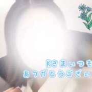 ヒメ日記 2025/01/09 00:16 投稿 ゆい 隙のあるエステ