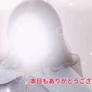 ヒメ日記 2025/03/22 07:16 投稿 ゆい 隙のあるエステ