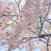 ヒメ日記 2025/05/11 07:06 投稿 ゆい 隙のあるエステ