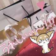 ヒメ日記 2024/12/21 02:11 投稿 しほ New Sky