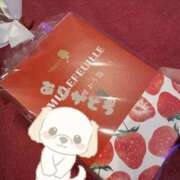 ヒメ日記 2024/12/23 00:28 投稿 しほ New Sky