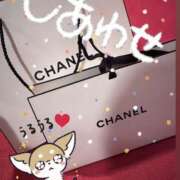 ヒメ日記 2025/10/17 03:25 投稿 しほ New Sky