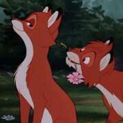 ヒメ日記 2026/02/11 05:57 投稿 しほ New Sky