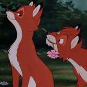 ヒメ日記 2026/03/11 02:22 投稿 しほ New Sky