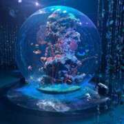 ヒメ日記 2025/10/22 11:24 投稿 汐見美優-MIYU- Casual Rich 5（カジュアルリッチファイブ）