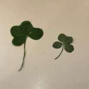 ヒメ日記 2025/05/15 17:56 投稿 らいむ 甲府人妻隊