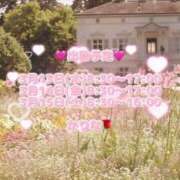 ヒメ日記 2025/03/13 12:16 投稿 かりな あとりえ(ATELIER)