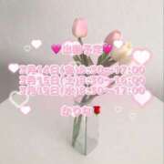 ヒメ日記 2025/03/14 07:45 投稿 かりな あとりえ(ATELIER)