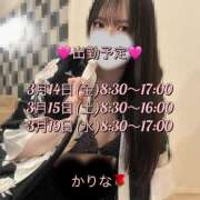 ヒメ日記 2025/03/14 22:19 投稿 かりな あとりえ(ATELIER)