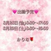 ヒメ日記 2025/03/27 23:44 投稿 かりな あとりえ(ATELIER)