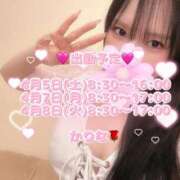 ヒメ日記 2025/04/04 15:49 投稿 かりな あとりえ(ATELIER)