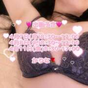 ヒメ日記 2025/04/07 00:45 投稿 かりな あとりえ(ATELIER)