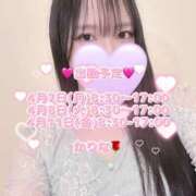 ヒメ日記 2025/04/07 09:11 投稿 かりな あとりえ(ATELIER)