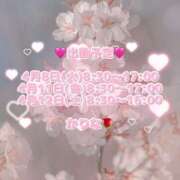 ヒメ日記 2025/04/07 23:11 投稿 かりな あとりえ(ATELIER)