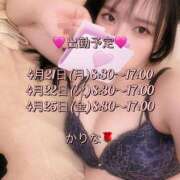 ヒメ日記 2025/04/21 08:57 投稿 かりな あとりえ(ATELIER)