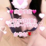 ヒメ日記 2025/04/25 09:17 投稿 かりな あとりえ(ATELIER)