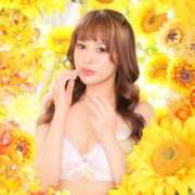 ヒメ日記 2025/07/13 19:30 投稿 きこ カワサキ EROTIC