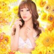 ヒメ日記 2025/07/20 07:36 投稿 きこ カワサキ EROTIC