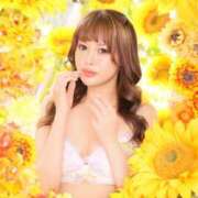 ヒメ日記 2025/08/30 08:30 投稿 きこ カワサキ EROTIC